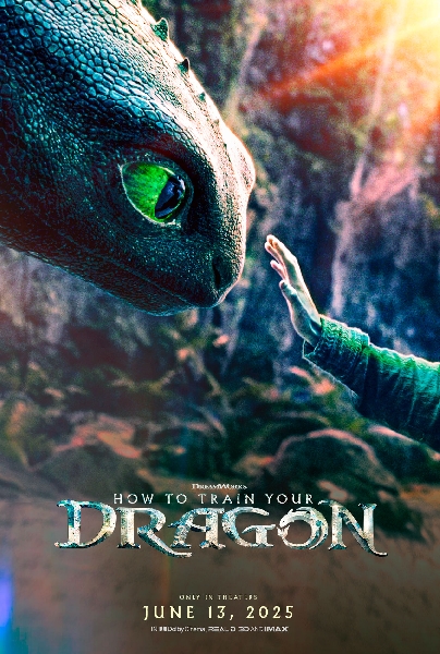 How to Train Your Dragon Show Poster